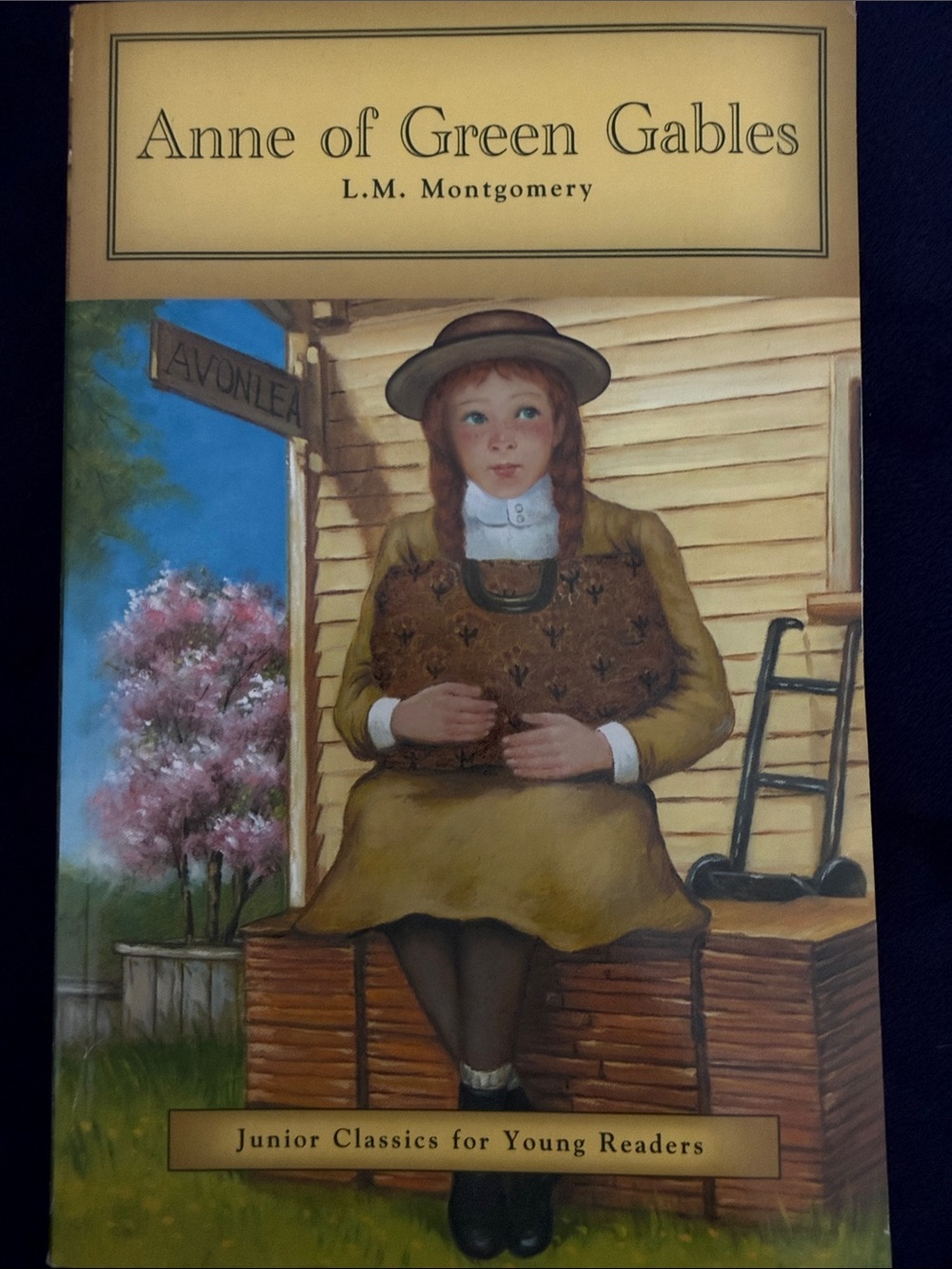 5 book classics bundle